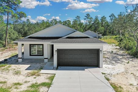 New construction Single-Family house 30 Fisher Trl, Ocklawaha, FL 32179 null- photo 0