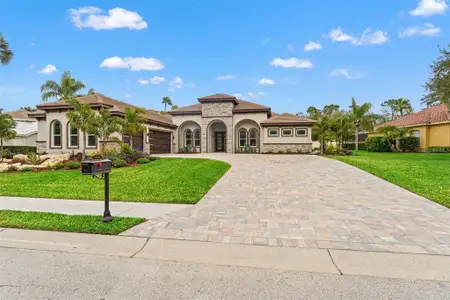 New construction Single-Family house 10700 Pontofino Cir, Trinity, FL 34655 - image