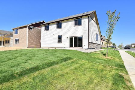 New construction Single-Family house 437 Vivid Ln, Windsor, CO 80550 null- photo 46 46