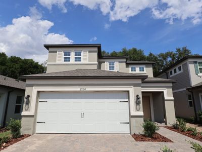 New construction Single-Family house 13704 Brushleaf Ct, Hudson, FL 34669 plan Santa Cruz - image