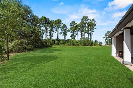 New construction Single-Family house 8816 Cedar Meadow Lane, Plantersville, TX 77363 - photo 46 46