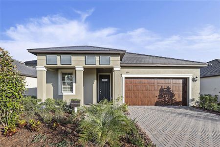 New construction Single-Family house 11354 Flora Crew Court, Land O' Lakes, FL 34638 Morningtide II- photo 0