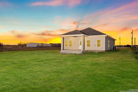 New construction Single-Family house 149 Camino Verde Ct, La Vernia, TX 78121 - image