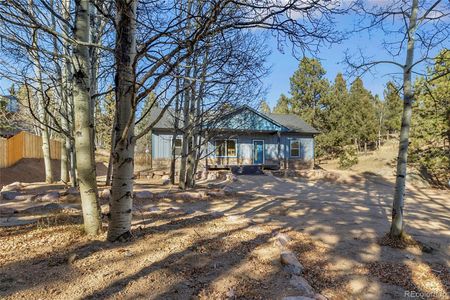 New construction Single-Family house 237 Columbine Dr, Woodland Park, CO 80863 - image