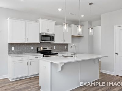 New construction Single-Family house 191 Old Fashioned Wy, Lillington, NC 27546 plan The Willow B - image