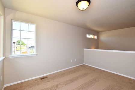 New construction Single-Family house 6611 West 5th Street, Greeley, CO 80634 - photo 10 10