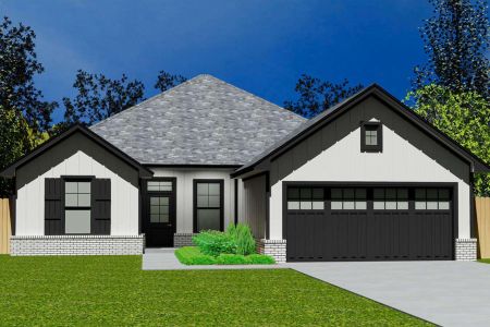 New construction Single-Family house 118 Autumn Sage Trl, Johnson City, TX 78636 - image
