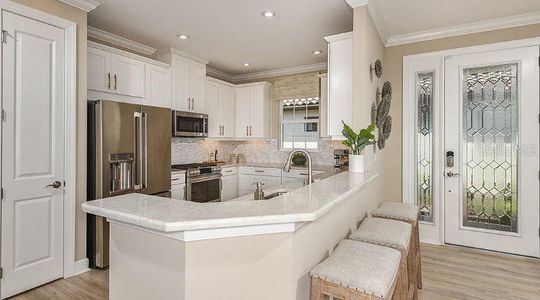 New construction Single-Family house 29513 Velletri Ln, Wesley Chapel, FL 33543 Roma- photo 9 9