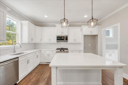 New construction Single-Family house 319 Longwood Pl, Dallas, GA 30132 null- photo 13 13