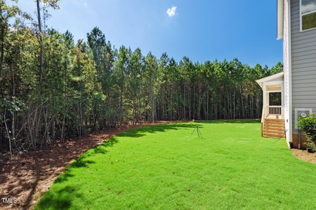 New construction Single-Family house 400 Terry Rd, Hillsborough, NC 27278 null- photo 53 53