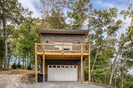 New construction Single-Family house 381 Mountain Rivers Ln, Mineral Bluff, GA 30559 - image