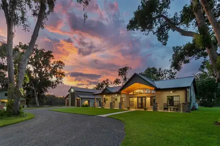 New construction Single-Family house 1517 Uncle Buds Ln, Lithia, FL 33547 - image