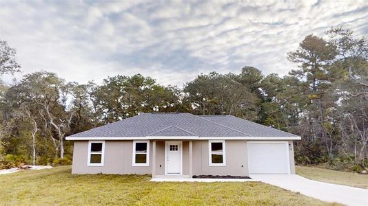 New construction Single-Family house 210 Malauka Run, Ocklawaha, FL 32179 - photo 0