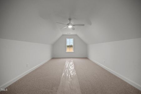 New construction Single-Family house 8 Willows Edge Dr, Sims, NC 27880 null- photo 23 23