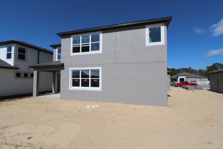 New construction Single-Family house 2350 Clary Sage Dr, Spring Hill, FL 34609 Sonoma II- photo 71 71