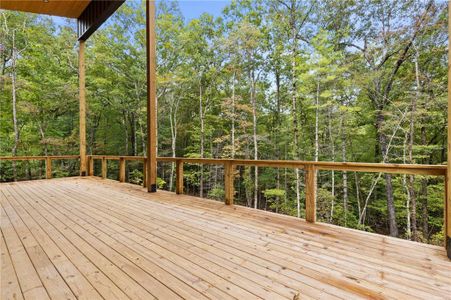 New construction Single-Family house 325 Pine Ln, Mineral Bluff, GA 30559 - image