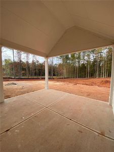 New construction Single-Family house 113 River Meadow Drive, Bethlehem, GA 30620 Barnes- photo 22 22