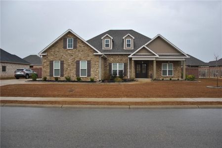 New construction Single-Family house 124 Blue Mist Ln, Kathleen, GA 31047 - image