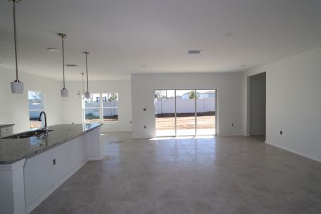 New construction Single-Family house 38350 Tobiano Loop, Dade City, FL 33525 Cabo- photo 99 99