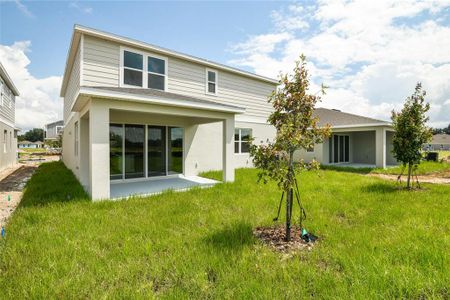 New construction Single-Family house 155 Bull Frog Ln, Umatilla, FL 32784 Moonstone- photo 21 21