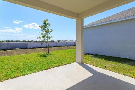 New construction Single-Family house 5814 Wallis Ln, St. Cloud, FL 34771 Mulberry- photo 14 14