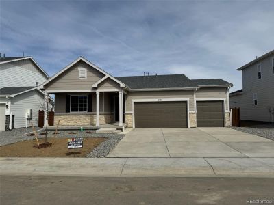 New construction Single-Family house 6161 Amerifax Dr, Windsor, CO 80528 Alexandrite- photo 0