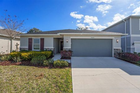 New construction Single-Family house 9565 Flatwood Hammock Pl, Seffner, FL 33584 null- photo 0