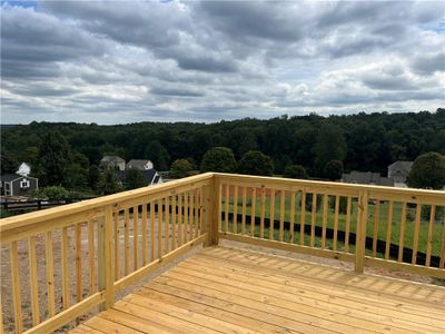 New construction Single-Family house 147 Whelchel Valley Drive, Dawsonville, GA 30534 - photo 32 32