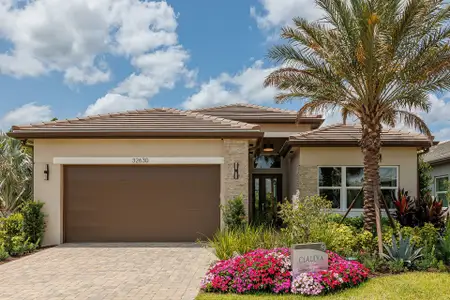 New construction Single-Family house 32212 Mahogany Valley Dr, Wesley Chapel, FL 33543 plan Claudia - image