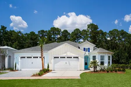 New construction Single-Family house 356 Latitude Blvd, Hardeeville, SC 29927 plan Nevis - image