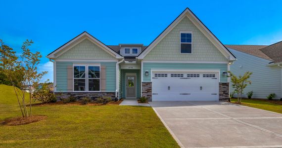 New construction Single-Family house 680 Old Charleston Rd, Pelion, SC 29123 plan Everest - image