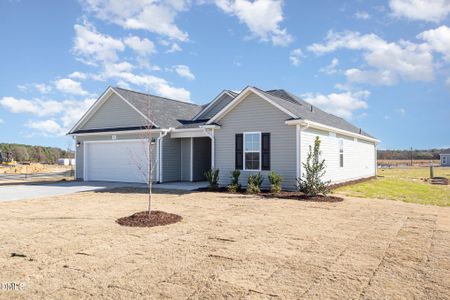 New construction Single-Family house 54 Littlefield Ln, La Grange, NC 28551 - image