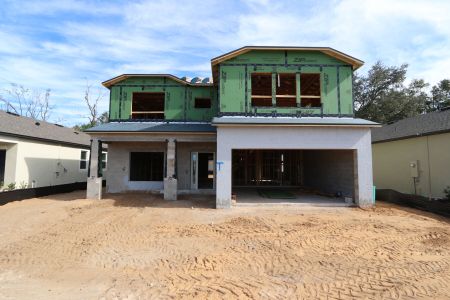 New construction Single-Family house 12008 Hilltop Farms Dr, Dade City, FL 33525 Alenza- photo 21 21