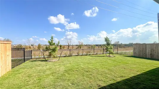 New construction Single-Family house 8034 Wandering Glider Dr, Fulshear, TX 77441 - image 8