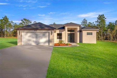 New construction Single-Family house 8269 Sw 138Th Ter, Dunnellon, FL 34432 - image