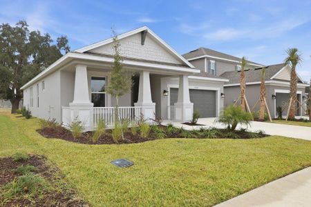 New construction Single-Family house 3710 Pine Peak Lp, Plant City, FL 33565 plan Aruba - image