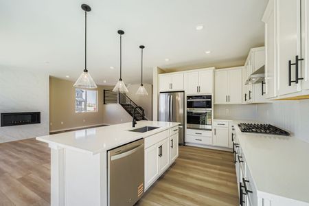 New construction Single-Family house 13755 Daffodil Wy, Parker, CO 80108 plan Conifer - image 8