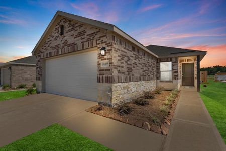 New construction Single-Family house 119 Sterling River Lane, Magnolia, TX 77354 - photo 0