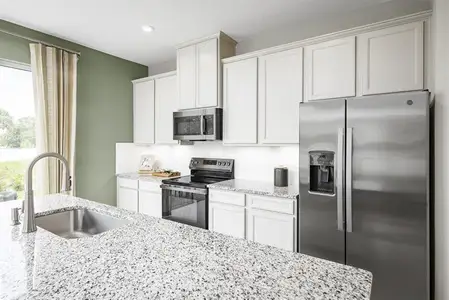 New construction Townhouse house 31399 Spanish Mission Rd, San Antonio, FL 33576 - image 7