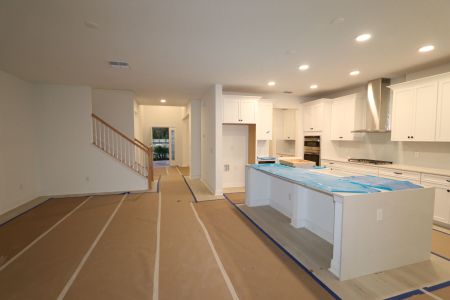 New construction Single-Family house 20288 Oriana Loop, Land O' Lakes, FL 34638 Coronado II- photo 100 100