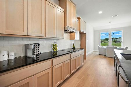 New construction Single-Family house 1114 Silver Sage Trl, Weatherford, TX 76085 - image 6