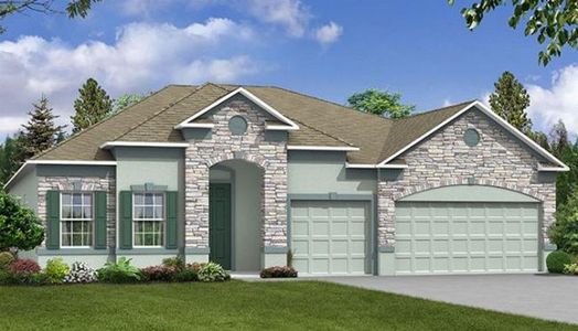 New construction Single-Family house 10035 Dolphin Gull Circle, Thonotosassa, FL 33592 - photo 0