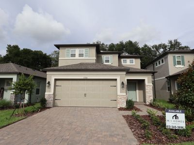 New construction Single-Family house 13704 Brushleaf Ct, Hudson, FL 34669 plan Santa Cruz - image