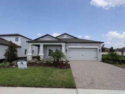 New construction Single-Family house 12290 Stirrup Dr, Dade City, FL 33525 plan Picasso - image