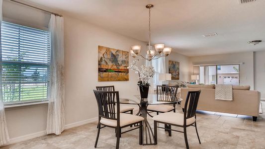 Avian Pointe Townhomes by D.R. Horton in Apopka - photo 29 29