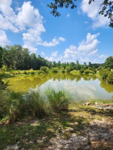 New construction Single-Family house 126 Chicora Ln, Yemassee, SC 29945 plan CANTEY-EXP - image