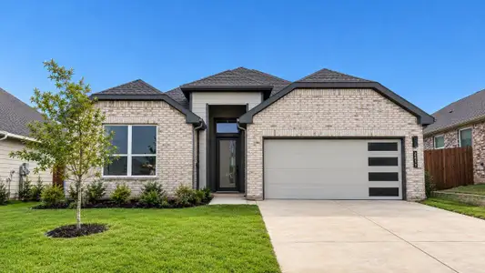 New construction Single-Family house 2611 Flycatcher Dr, Denton, TX 76205 plan Parrot - image