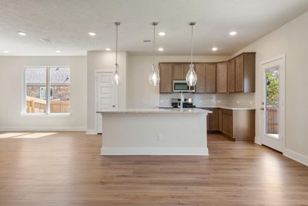 New construction Single-Family house 2046 Winepress Rd, Brenham, TX 77833 - image 15