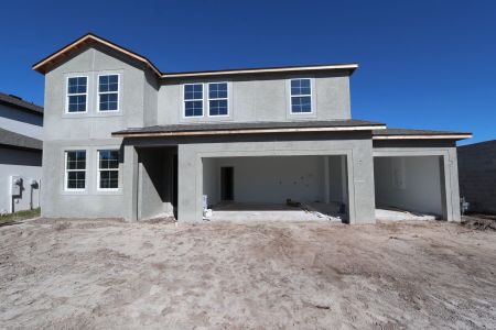 New construction Single-Family house 20050 Oriana Loop, Land O' Lakes, FL 34638 Santa Monica- photo 85 85