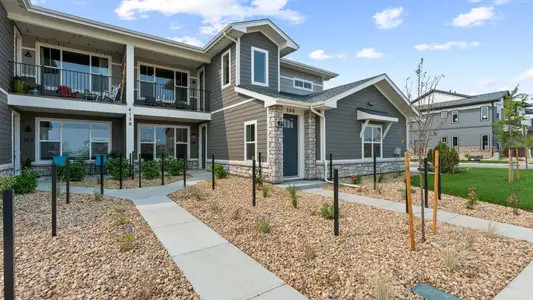 New construction Multi-Family house 6809 Maple Leaf Dr, Unit 202, Timnath, CO 80547 plan Monarch - image